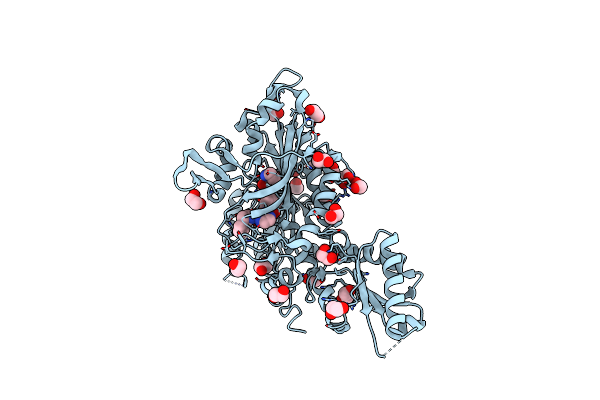 6T7K image