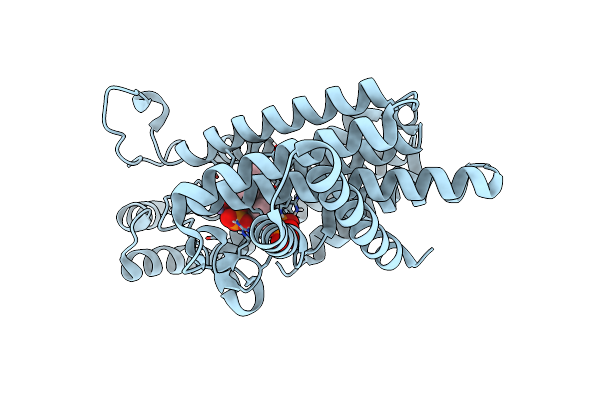 6T7N image