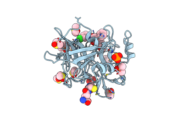 6T7P image