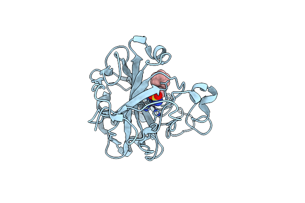 6T7U image