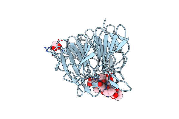 6T7V image