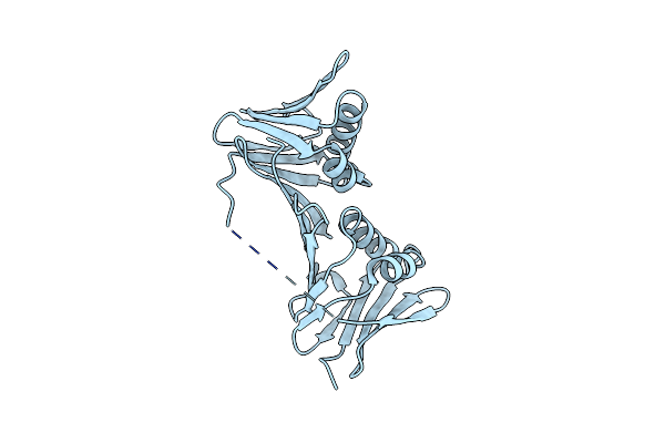 6T7X image