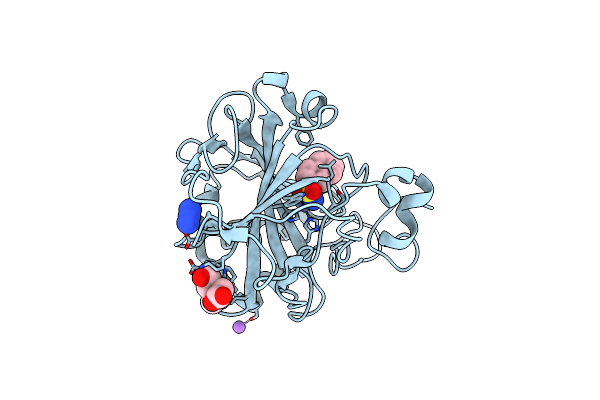 6T81 image