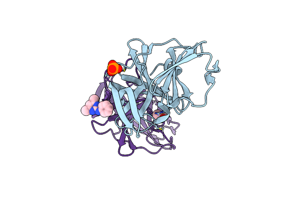 6T82 image