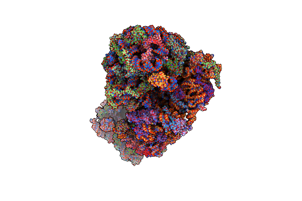 6T83 image