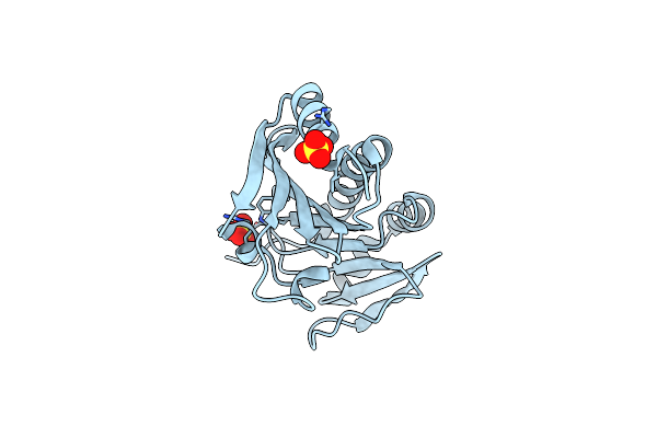 6T84 image