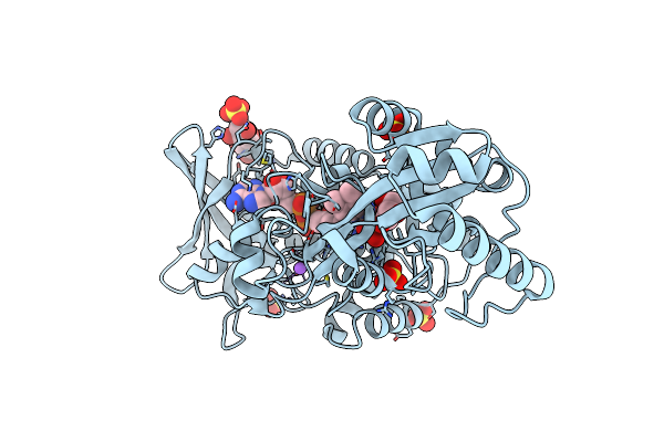 6T86 image