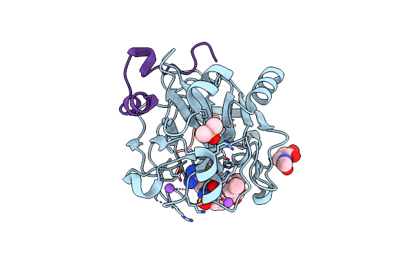 6T89 image