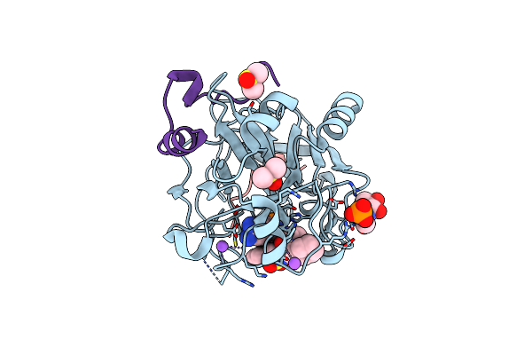 6T8A image
