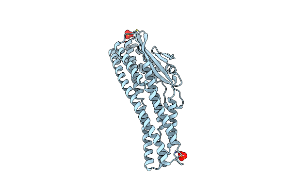 6T8D image