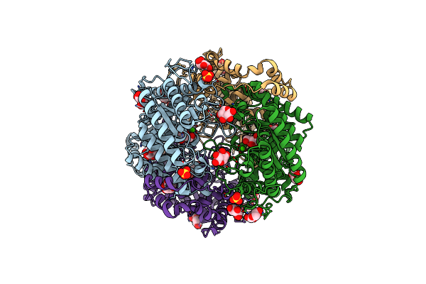 6T8E image
