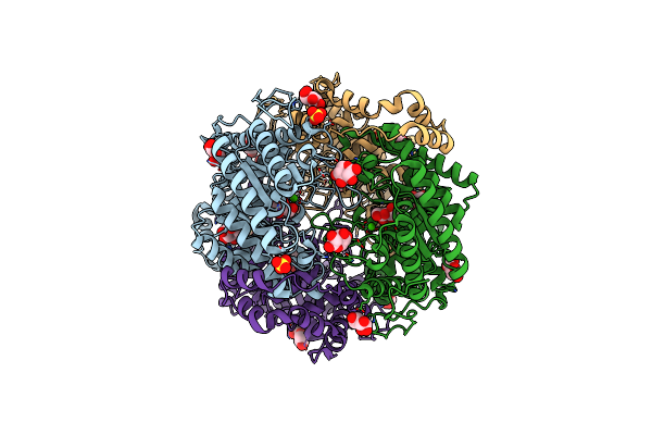 6T8F image