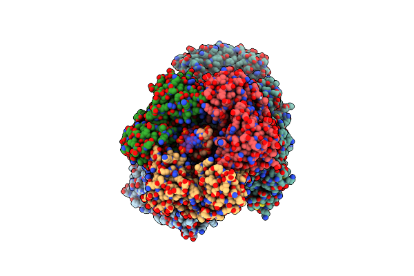 6T8H image