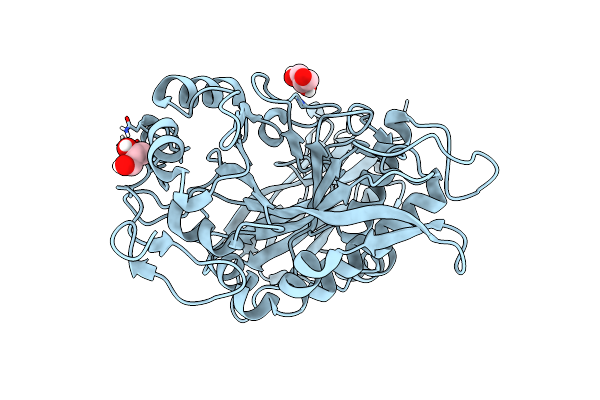 6T8I image