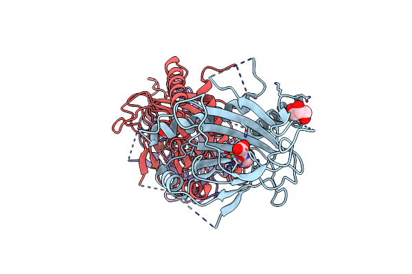6T8M image