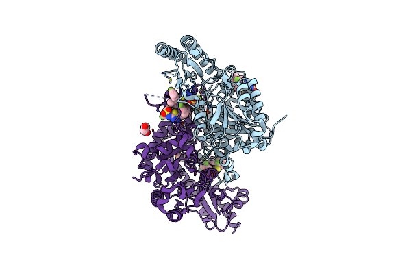 6T8P image
