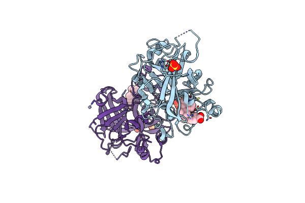 6T8V image