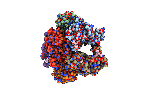 6T8X image