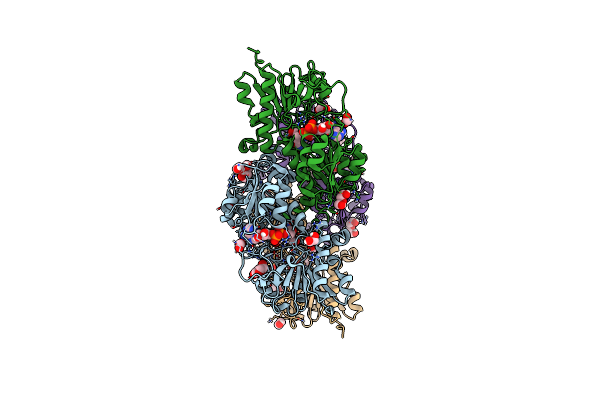 6T8Z image