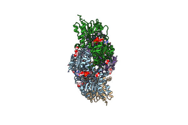 6T94 image