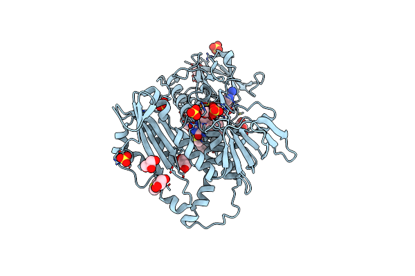 6T95 image