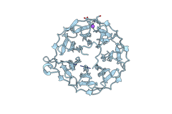 6T96 image