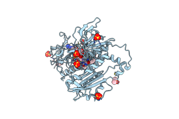 6T98 image