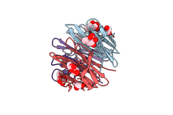 6T9A image