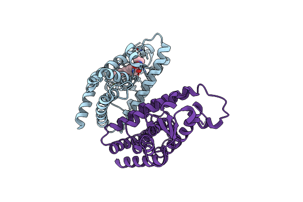 6T9C image