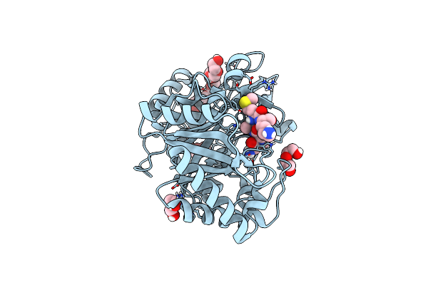6T9M image