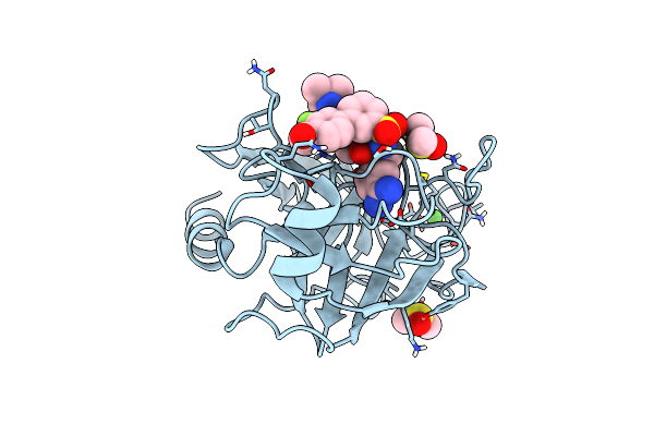 6T9V image