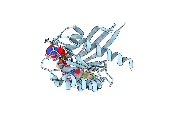 6TAM image