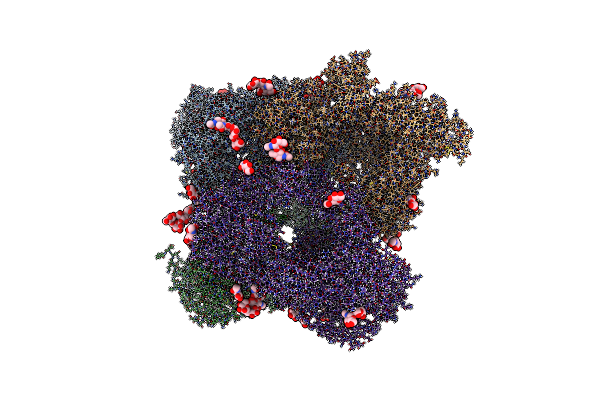 6TAV image