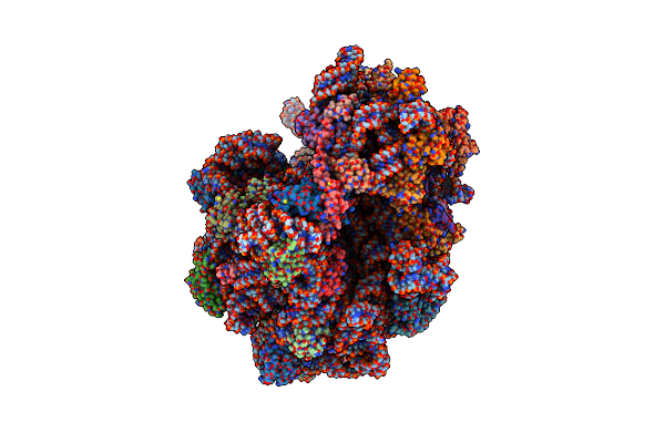 6TBV image