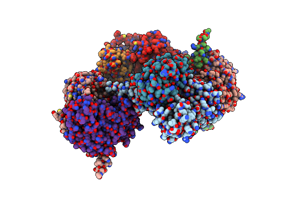 6TCA image
