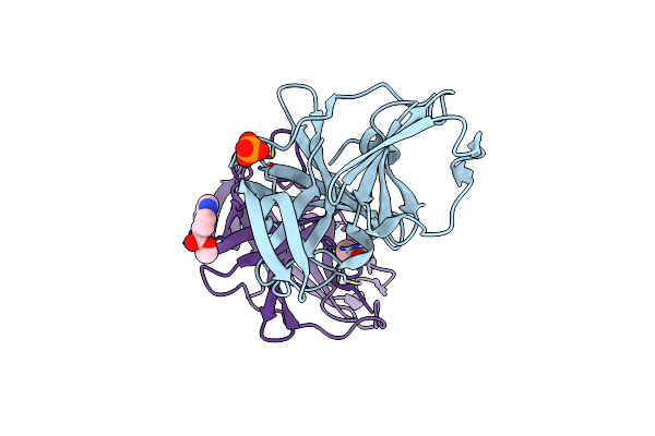 6TCF image