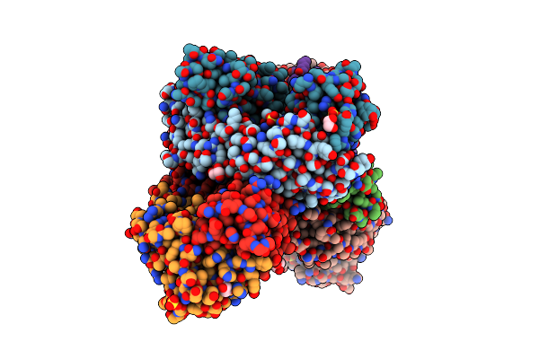 6TCP image