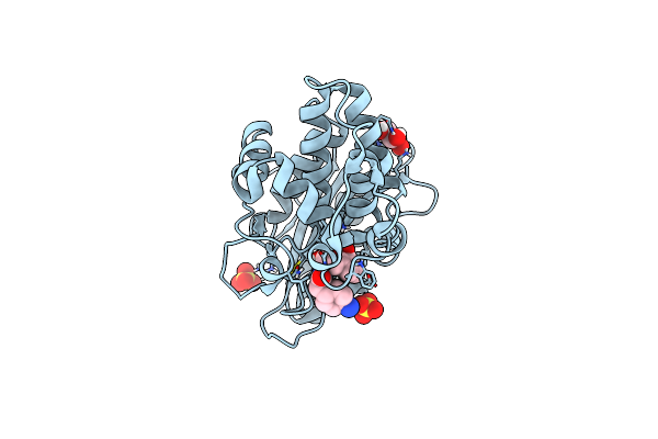 6TD1 image