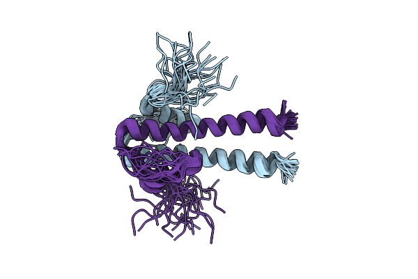 6TDM image