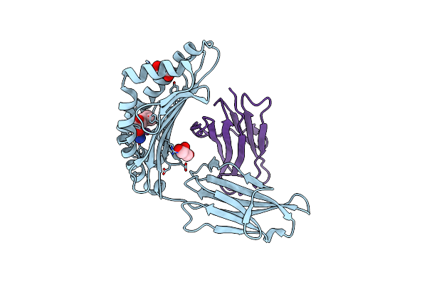 6TDP image