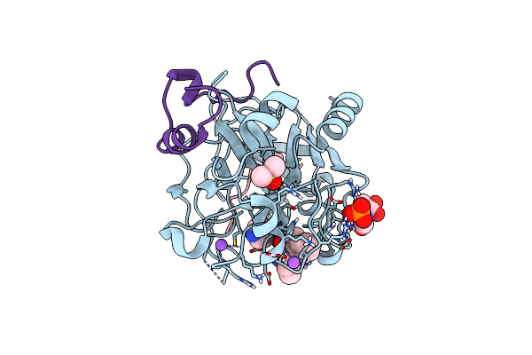 6TDT image
