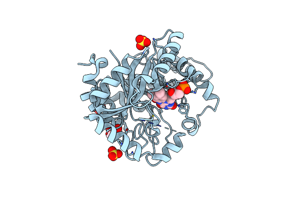 6TEF image