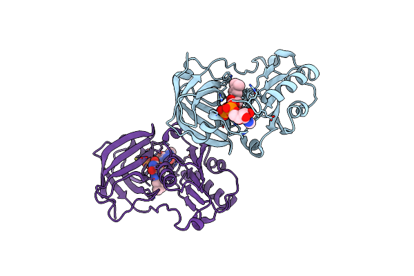 6TEK image