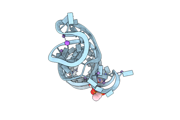 6TFH image