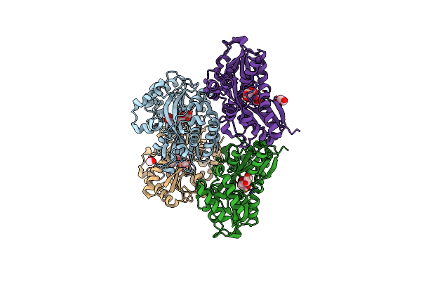 6TG3 image
