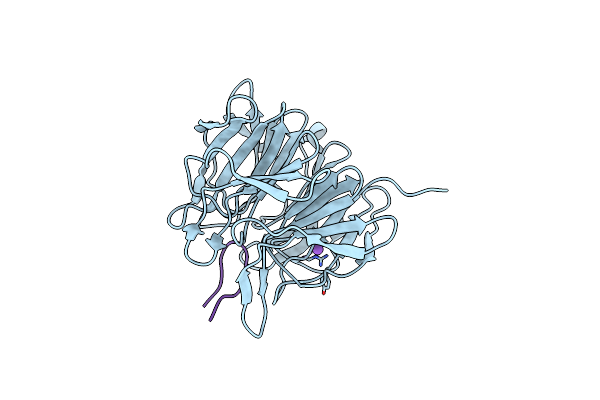 6TG8 image