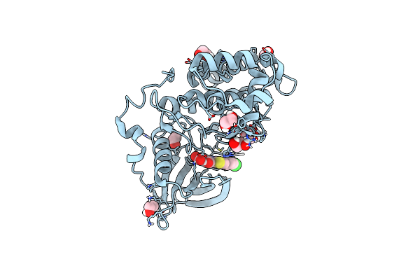 6TGU image