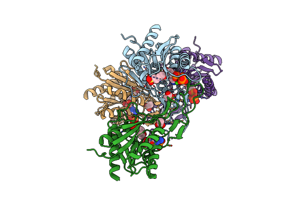 6TH2 image