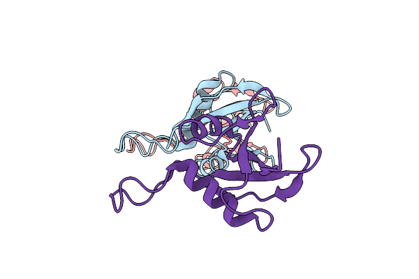 6TH3 image