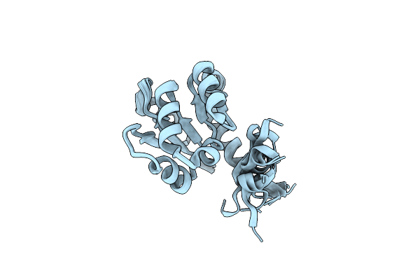 6TH8 image